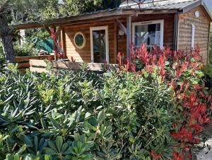 Campings Eco-Lodge Lou Pantai : photos des chambres