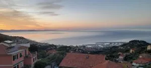 Penny House - Stella