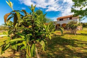 Holiday house with a parking space Peroj, Fazana - 24246