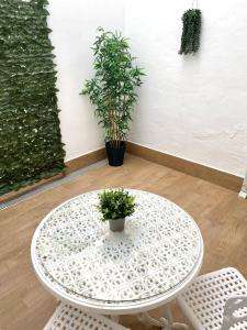 Apartamentos Cibeles Centro Histórico, Nuevo Establecimiento