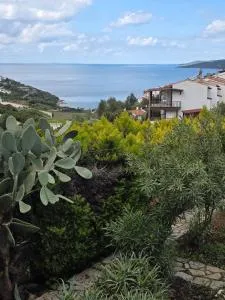 Sevinc Akasya Luxury Villa - Milas