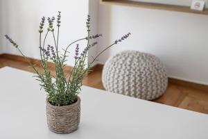 Arco - Sleek 2-BR Apt in the Heart of Athens