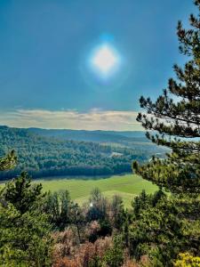 Chambre hotes avec vue panoramique sur la foret
