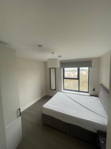 Charming Flat in North Dublin