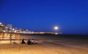 Les Sables superbe T3 cadre unique 7mn à pied de la mer