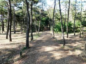 Les Sables superbe T3 cadre unique 7mn à pied de la mer