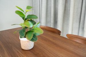 GuestReady - The perfect retreat in Matosinhos