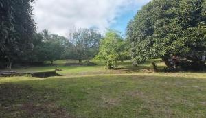 San Roque Citrus Valley