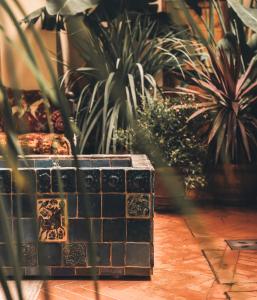 Casa Profumoir - Olfactive Experience