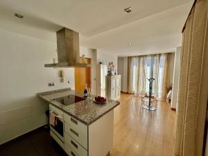 2 big terraces penthouse city center