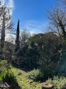 LeStudio83210 Loveroom jacuzzi balneo petit déjeuner inclus meublé de tourisme 3 étoiles