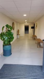 Appartements Magnifique 70m2 avec patio terrasse en bord de mer : photos des chambres