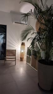 Appartements Magnifique 70m2 avec patio terrasse en bord de mer : photos des chambres