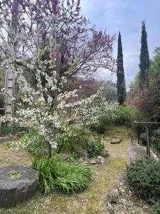 Maisons de vacances LeStudio83210 Loveroom jacuzzi balneo petit dejeuner inclus meuble de tourisme 3 etoiles : photos des chambres