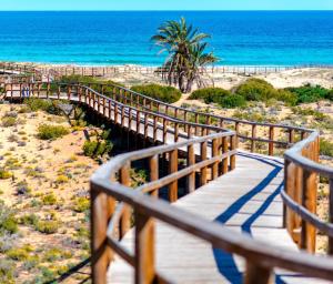 The Privilege - Seaviews, relax and remoteworking