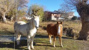 Chalets L-edliane : photos des chambres