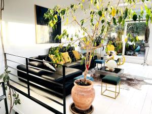 Appartements Large unique loft, quiet and bright & outdoor : photos des chambres