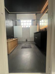 Appartements Large unique loft, quiet and bright & outdoor : photos des chambres