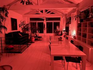 Appartements Large unique loft, quiet and bright & outdoor : photos des chambres