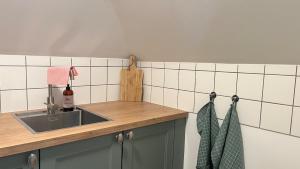 1-bedroom villa apartment in CPH