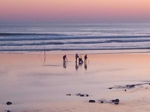 Appartements Appartement 2 chambres proche Grande Plage : photos des chambres