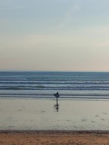 Appartements Appartement 2 chambres proche Grande Plage : Appartement 2 Chambres