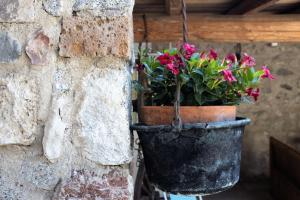 Casa Rita 4 - Lago di Garda