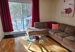 Chalet Astoria-River view-SPA-3 bdrms - Entrelacs