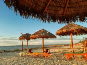 Les flamboyants morondava - Morondava