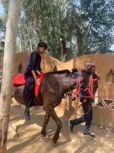 MAI DHANI by NT 3 RESORTS - Darbi