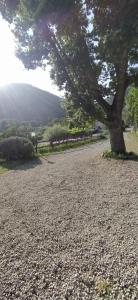 Azienda Agricola Biologica La Cardellina