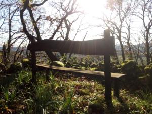 Azienda Agricola Biologica La Cardellina