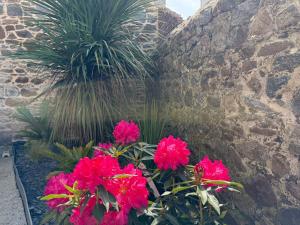 Appartements L-elegante - Proche centre : photos des chambres