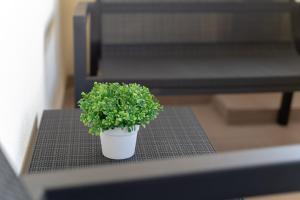 Holiday House Costantino img24