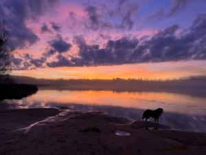 Entre Montagnes et lacs Gites