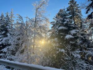 Appartements Entre Montagnes et lacs Gites : photos des chambres