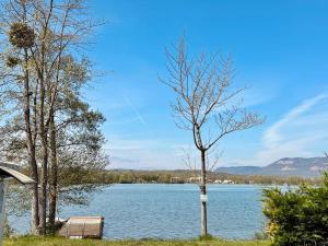 Campings Camping Point Vert : photos des chambres
