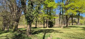 Villas Domaine des Aulnaies - Beauval - Mareuil sur Cher : photos des chambres