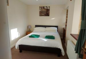 Tawny Owl at Bejowan Barns