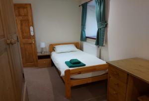 Tawny Owl at Bejowan Barns