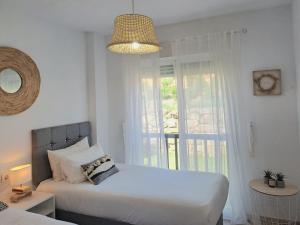 Noctua Cortesin sun 002