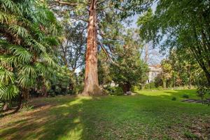 Superior One-Bedroom Apartment with Balcony