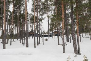 Norlight Cottages Ivalo - Aurinko East