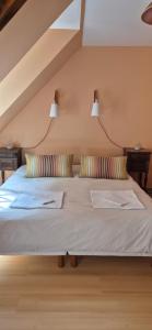 Villas Domaine des Aulnaies - Beauval - Mareuil sur Cher : photos des chambres