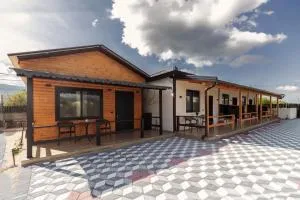 Olive Oasis Studio - Stani