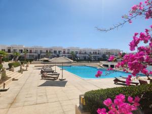 Sharm El Sheikh appartamento Patty