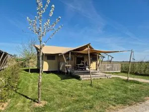 De Hazelaarshof- luxe XL-glampingtent (7-8 personen) nabij De Millingerwaard - 莱茵河畔米灵恩