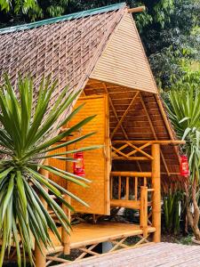 Khaosok Monkeys & River Camps