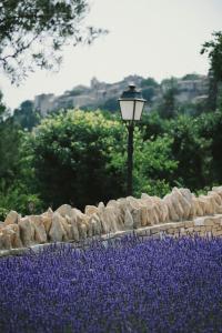 Maisons de vacances Villa With Pool In The Heart Of Gordes : photos des chambres