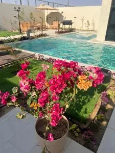 شاليه كوڤ 2 Cove Chalet - Quai